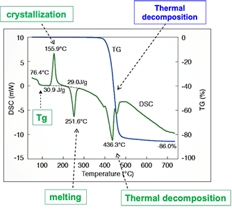 melting behavior of PET 